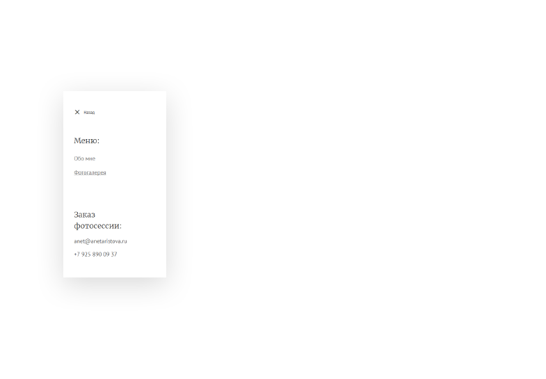 Responsive web design for any WordPress theme I create